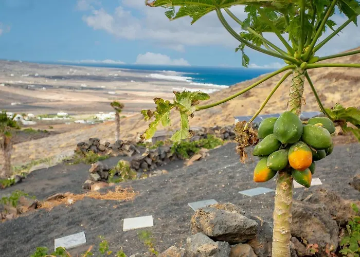 Eco Vineyard - Fantastic Views - 5 Mins Drive To Arrieta Casa de Férias *